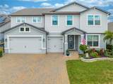 2867 Matera Drive - Photo 1