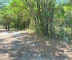  Saddlebag Lake Road - Photo 9