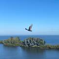 6009 Sea Ranch Drive - Photo 84