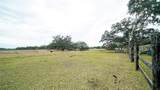 8836 Sr 471 Highway - Photo 28