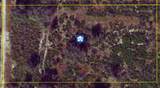  Rhoden Road - Photo 1