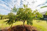 4999 Disston Drive - Photo 42