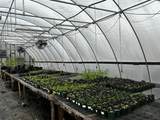 00 160 Avenue - Photo 44