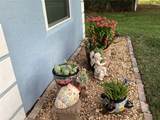 1574 Damask Lane - Photo 6