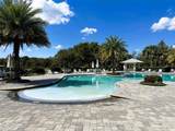 3240 Songbird Circle - Photo 4