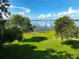 6100 Alligator Lake Shore - Photo 65