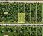 14212 Guadalcanal Avenue - Photo 1