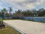 873 Caribbean Drive - Photo 19