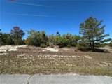 1386 Homosassa Drive - Photo 3