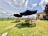 1741 Goblet Cove Street - Photo 61