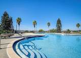 808 Waterfern Trail Drive - Photo 14