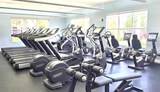8296 Portofino Drive - Photo 41