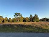 Lot 2 65TH Loop - Photo 1