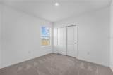 4560 Ranunculus Street - Photo 14