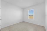 4560 Ranunculus Street - Photo 18