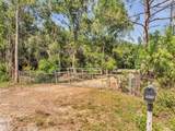 4369 Fanny Bass Lane - Photo 2
