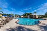 8974 California Palm Road - Photo 33