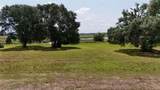 Royal Palm Drive - Photo 16
