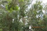 386 San Jose Drive - Photo 53