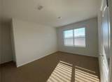 2336 White Poppy Drive - Photo 13