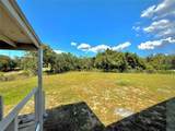 3137 Fast Trot Trail - Photo 19