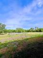 3900 Glassman Road - Photo 18