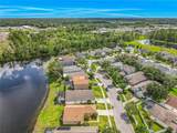 2054 Hammock Moss Drive - Photo 41