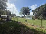 3050 Old Soldier Road - Photo 2