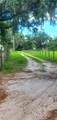 11416 Brahman Road - Photo 1