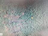  Holopaw Groves Road - Photo 1