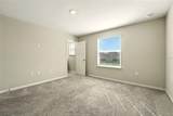 4806 Coral Castle Drive - Photo 20