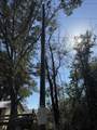 5325 7TH STREET - Photo 10