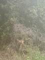  105 Place - Photo 1