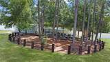  Citrus Street - Photo 14