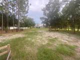 Citrus Street - Photo 37