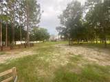  Citrus Street - Photo 39