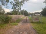  Citrus Street - Photo 40