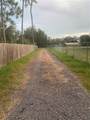  Citrus Street - Photo 41