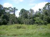 1343 Congo Court - Photo 1