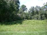 1343 Congo Court - Photo 3