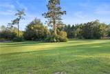 20107 Starry Street - Photo 30