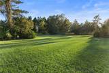 20107 Starry Street - Photo 31