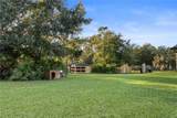20107 Starry Street - Photo 34