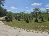 21910 Taylor Drive - Photo 10