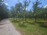 21910 Taylor Drive - Photo 15