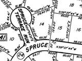  Spruce Terrace Run - Photo 5