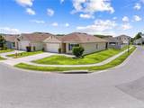 1242 Iguana Loop - Photo 5