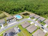 1242 Iguana Loop - Photo 51