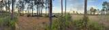 6718 Owens Road - Photo 5