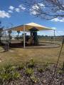 2037 Crape Jasmine Lane - Photo 19